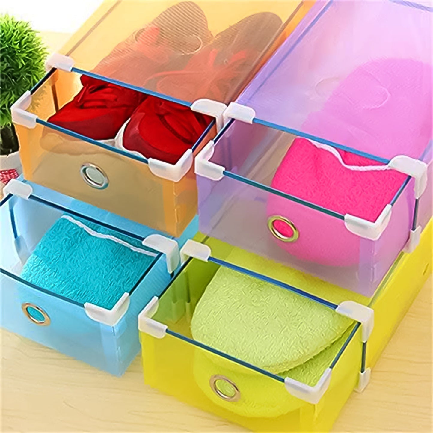 GlassBox Shoe Case