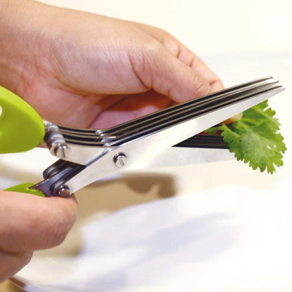 Multifunction Vegetable Stainless Steel Herbs Scissor with 5 Blades (1 Pc)