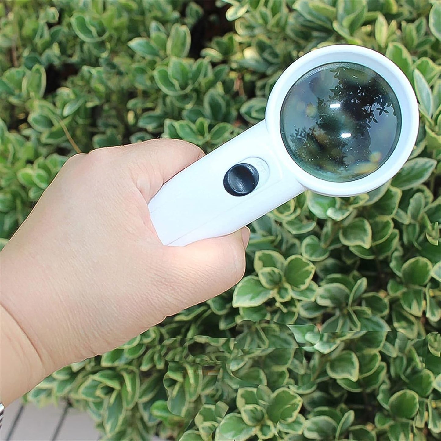 Hand-Held Magnifier with Dual LED Lights (1 Pc / 37MM / Battery not included)