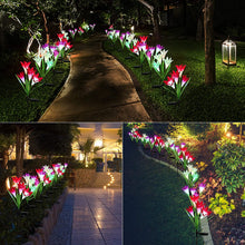 Outdoor solar lily lights, setup in garden, illuminated