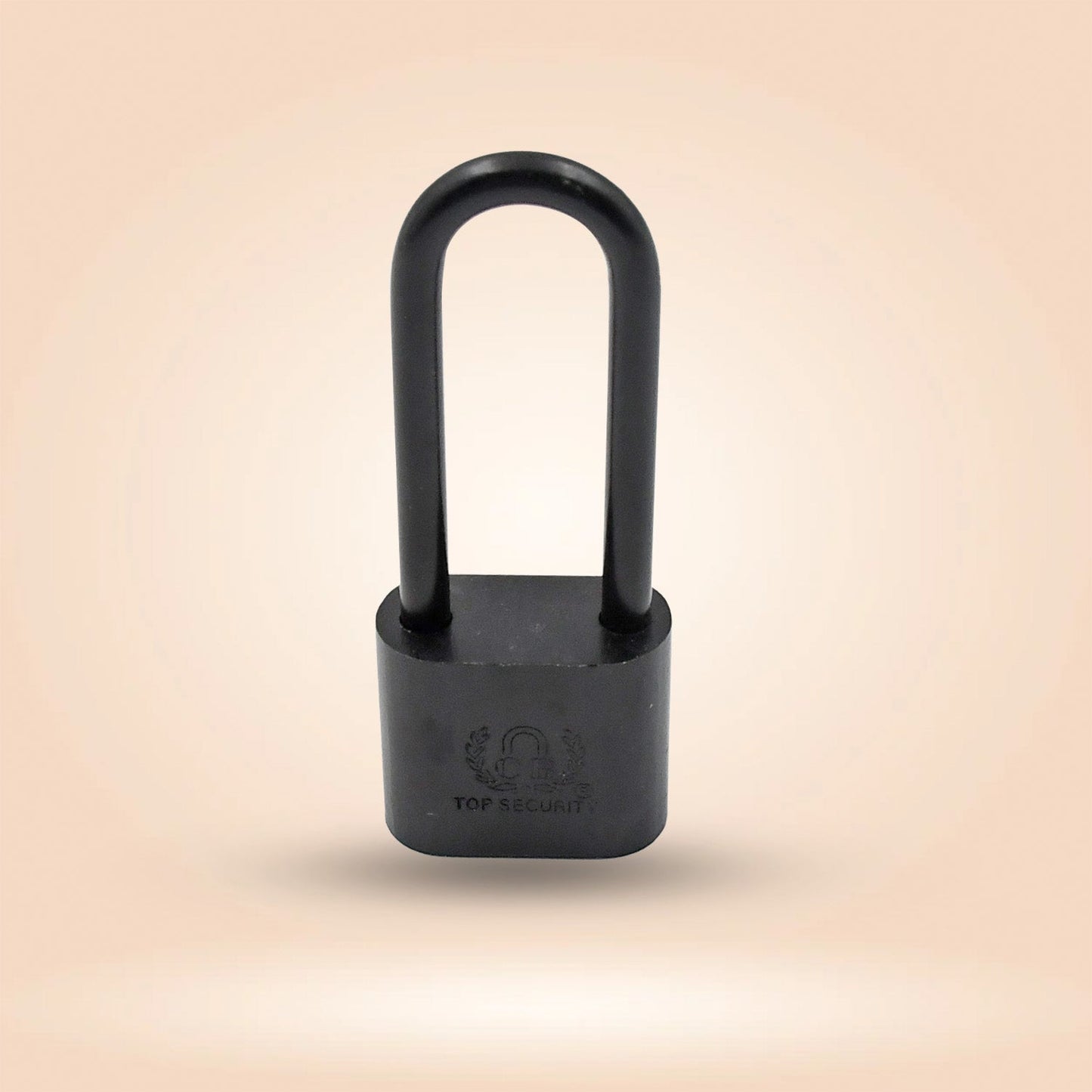 Black metal storage padlock with key.