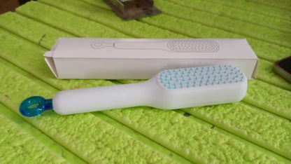 Self-Cleaning Hairbrush, Massage Comb (1 Pc / With Box)